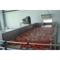 fruit vegetable washer cleaning machine